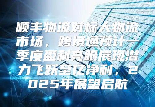 顺丰物流对标大物流市场，跨境通预计一季度盈利亮眼展现潜力飞跃至亿净利，2025年展望启航