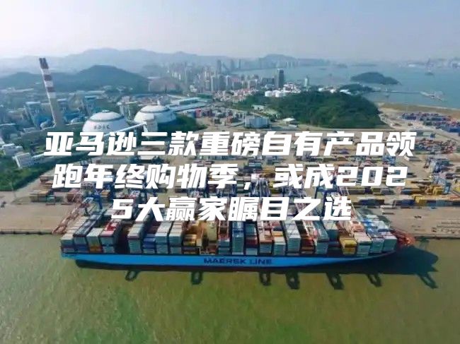 亚马逊三款重磅自有产品领跑年终购物季，或成2025大赢家瞩目之选