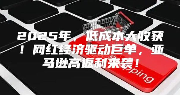 2025年，低成本大收获！网红经济驱动巨单，亚马逊高返利来袭！