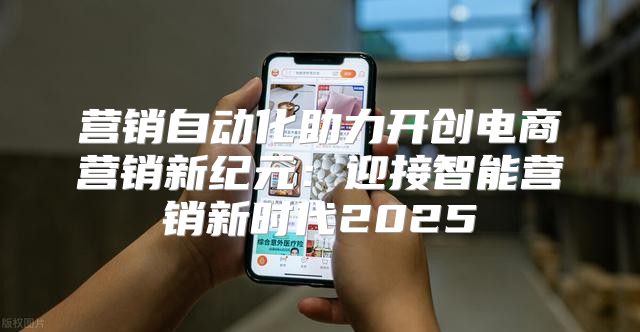 营销自动化助力开创电商营销新纪元：迎接智能营销新时代2025