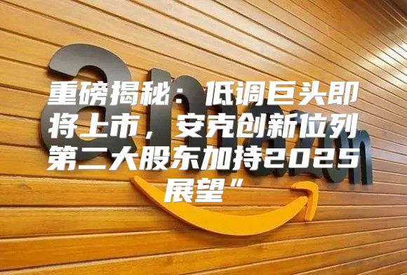 重磅揭秘：低调巨头即将上市，安克创新位列第二大股东加持2025展望”