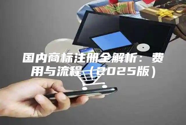 国内商标注册全解析：费用与流程2025版