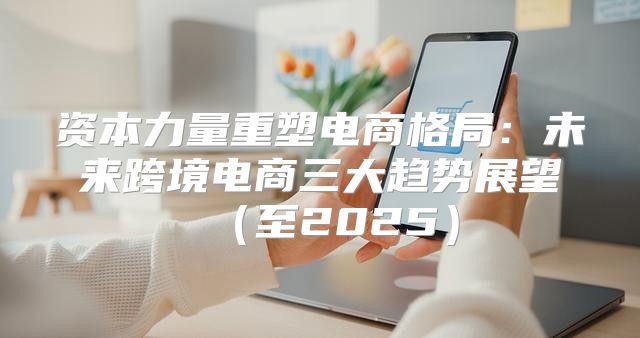 资本力量重塑电商格局：未来跨境电商三大趋势展望至2025