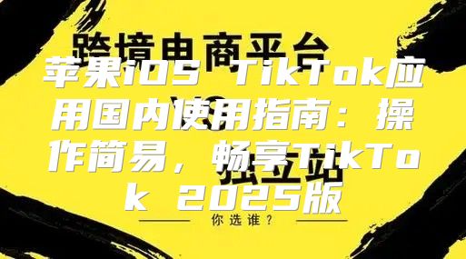 苹果iOS TikTok应用国内使用指南：操作简易，畅享TikTok 2025版