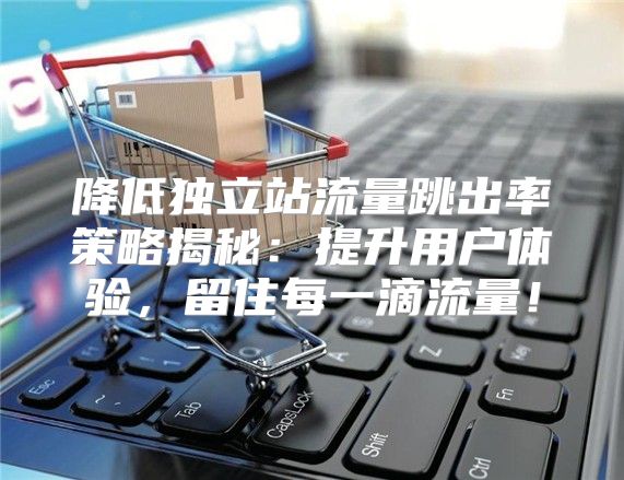 降低独立站流量跳出率策略揭秘：提升用户体验，留住每一滴流量！