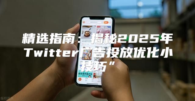 精选指南：揭秘2025年Twitter广告投放优化小技巧”