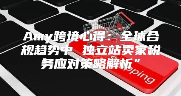 Amy跨境心得：全球合规趋势中 独立站卖家税务应对策略解析”