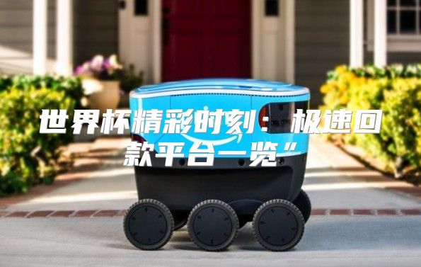 世界杯精彩时刻：极速回款平台一览”
