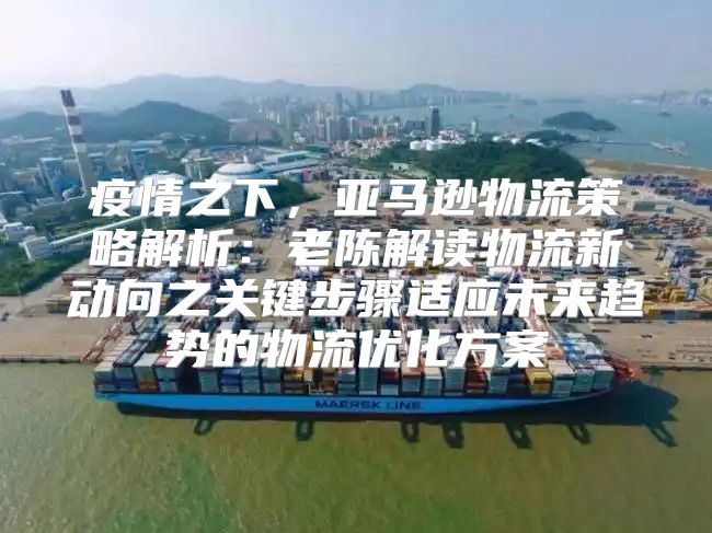 疫情之下，亚马逊物流策略解析：老陈解读物流新动向之关键步骤适应未来趋势的物流优化方案