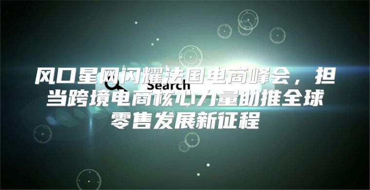 风口星网闪耀法国电商峰会，担当跨境电商核心力量助推全球零售发展新征程