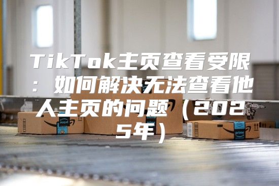 TikTok主页查看受限：如何解决无法查看他人主页的问题2025年