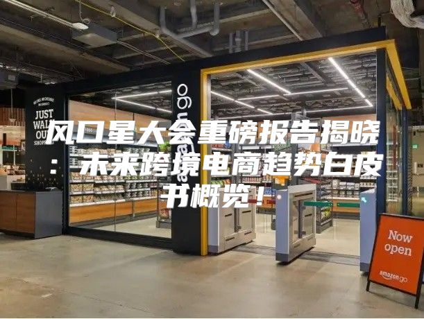 风口星大会重磅报告揭晓：未来跨境电商趋势白皮书概览！