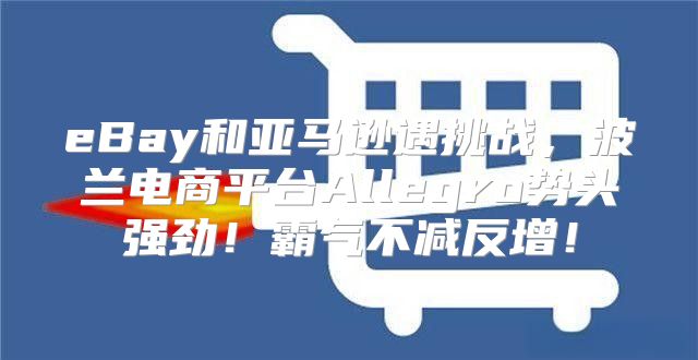 eBay和亚马逊遇挑战，波兰电商平台Allegro势头强劲！霸气不减反增！