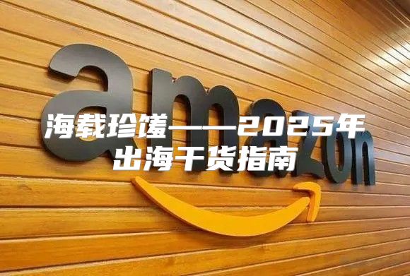 海载珍馐——2025年出海干货指南