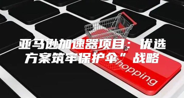 亚马逊加速器项目：优选方案筑牢保护伞”战略