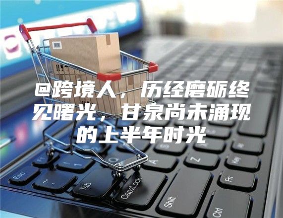 @跨境人，历经磨砺终见曙光，甘泉尚未涌现的上半年时光