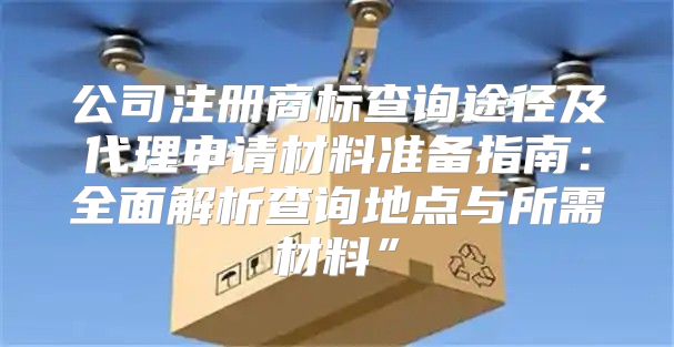 公司注册商标查询途径及代理申请材料准备指南：全面解析查询地点与所需材料”