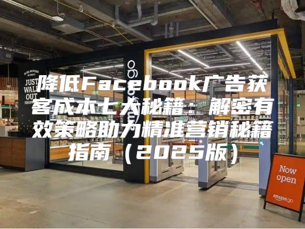 降低Facebook广告获客成本七大秘籍：解密有效策略助力精准营销秘籍指南2025版
