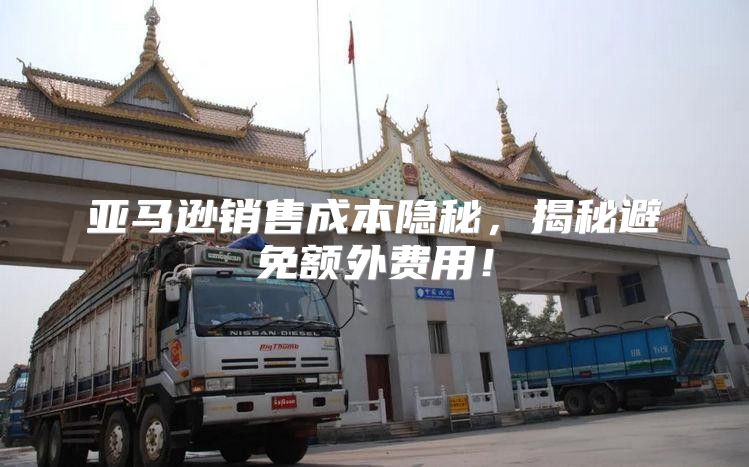 亚马逊销售成本隐秘，揭秘避免额外费用！