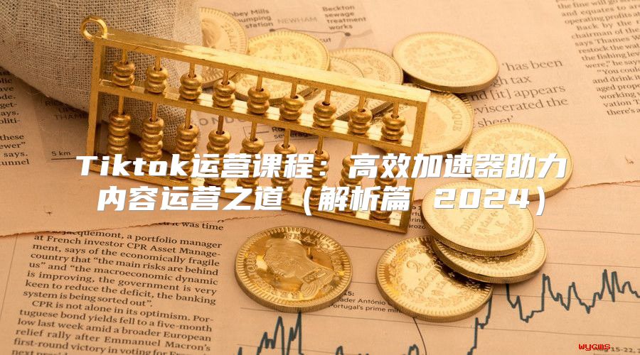 Tiktok运营课程：高效加速器助力内容运营之道解析篇 2025