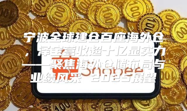 宁波全球建仓百座海外仓，泽宝营收超十亿显实力——聚焦海外仓储布局与业绩风采 2025展望
