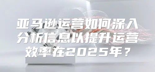 亚马逊运营如何深入分析信息以提升运营效率在2025年？