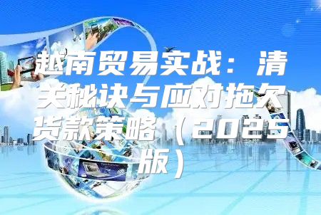 越南贸易实战：清关秘诀与应对拖欠货款策略2025版