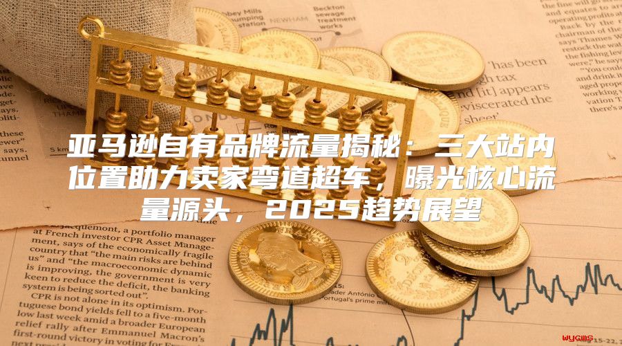 亚马逊自有品牌流量揭秘：三大站内位置助力卖家弯道超车，曝光核心流量源头，2025趋势展望