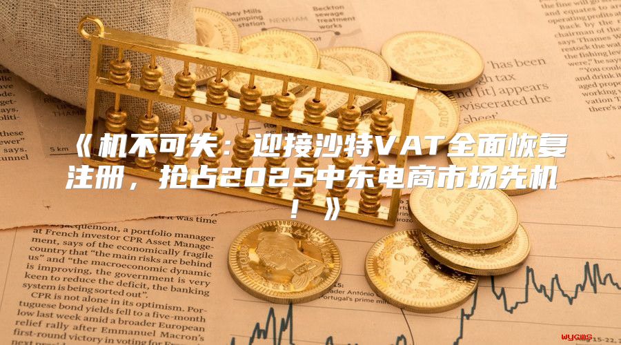 机不可失：迎接沙特VAT全面恢复注册，抢占2025中东电商市场先机！