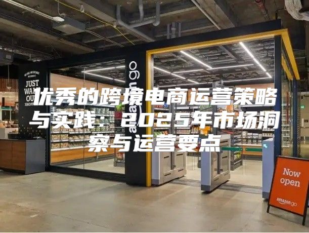 优秀的跨境电商运营策略与实践：2025年市场洞察与运营要点