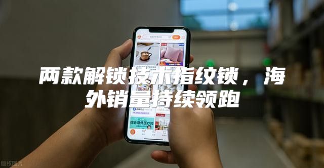 两款解锁技术指纹锁，海外销量持续领跑
