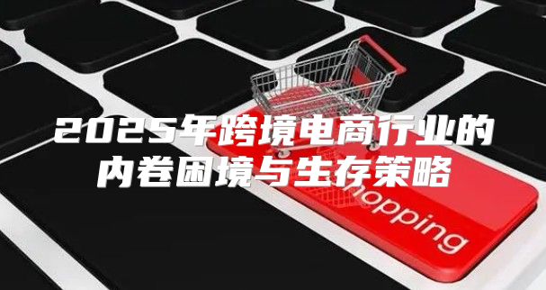 2025年跨境电商行业的内卷困境与生存策略