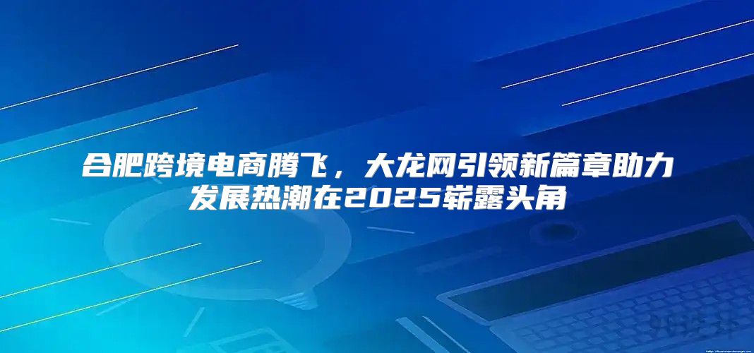 合肥跨境电商腾飞，大龙网引领新篇章助力发展热潮在2025崭露头角