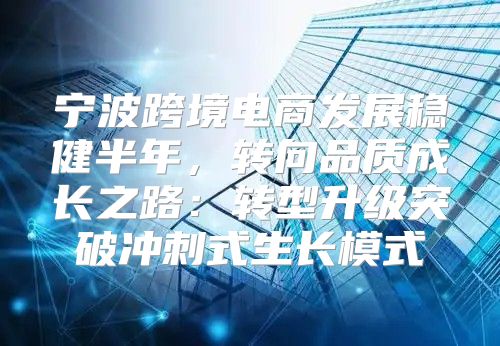 宁波跨境电商发展稳健半年，转向品质成长之路：转型升级突破冲刺式生长模式