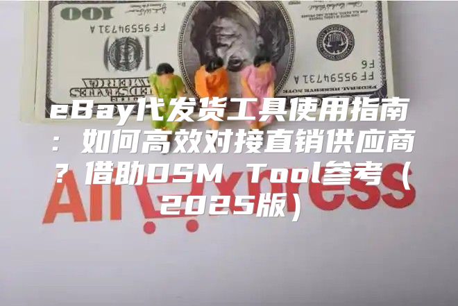 eBay代发货工具使用指南：如何高效对接直销供应商？借助DSM Tool参考2025版