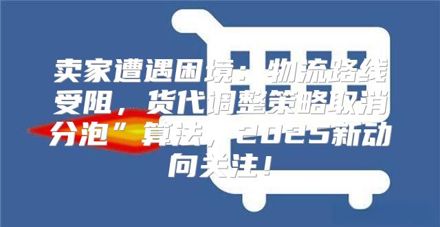 卖家遭遇困境：物流路线受阻，货代调整策略取消分泡”算法，2025新动向关注！