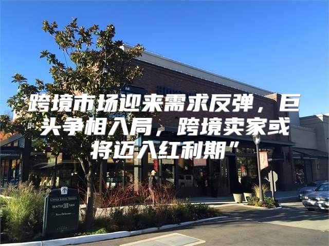 跨境市场迎来需求反弹，巨头争相入局，跨境卖家或将迈入红利期”