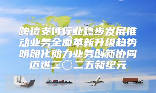 跨境支付行业稳步发展推动业务全面革新升级趋势明朗化助力业务创新协同迈进二〇二五新纪元