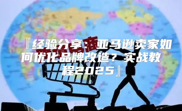 『经验分享：亚马逊卖家如何优化品牌改造？实战教程2025』