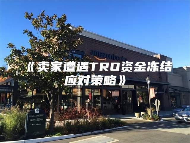 卖家遭遇TRO资金冻结应对策略