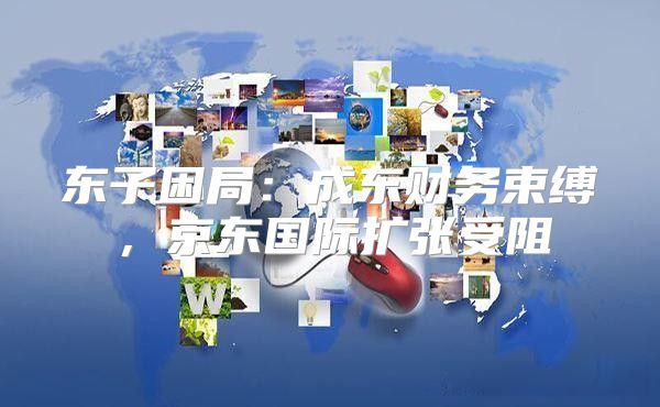 东子困局：成东财务束缚，京东国际扩张受阻