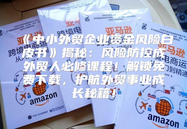 中小外贸企业资金风险白皮书揭秘：风险防控成外贸人必修课程！解锁免费下载，护航外贸事业成长秘籍！