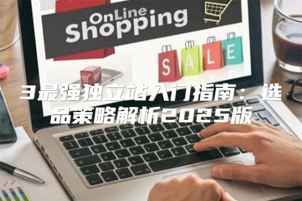 3最强独立站入门指南：选品策略解析2025版