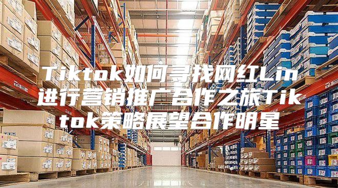 Tiktok如何寻找网红Lin进行营销推广合作之旅Tiktok策略展望合作明星