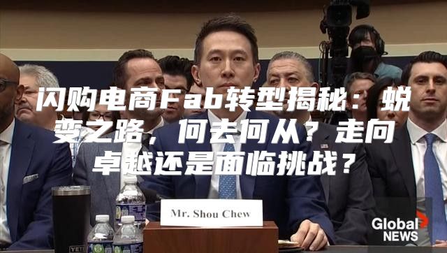 闪购电商Fab转型揭秘：蜕变之路，何去何从？走向卓越还是面临挑战？