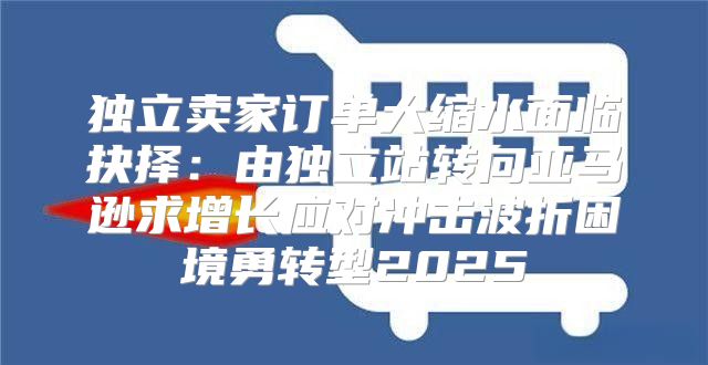 独立卖家订单大缩水面临抉择：由独立站转向亚马逊求增长应对冲击波折困境勇转型2025