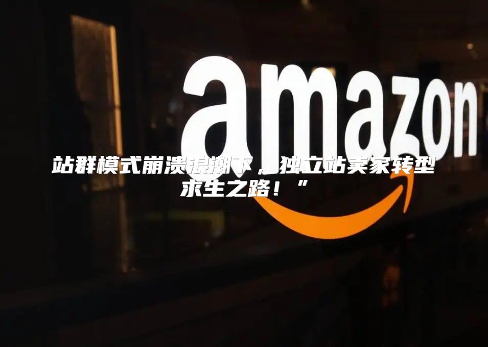 站群模式崩溃浪潮下，独立站卖家转型求生之路！”