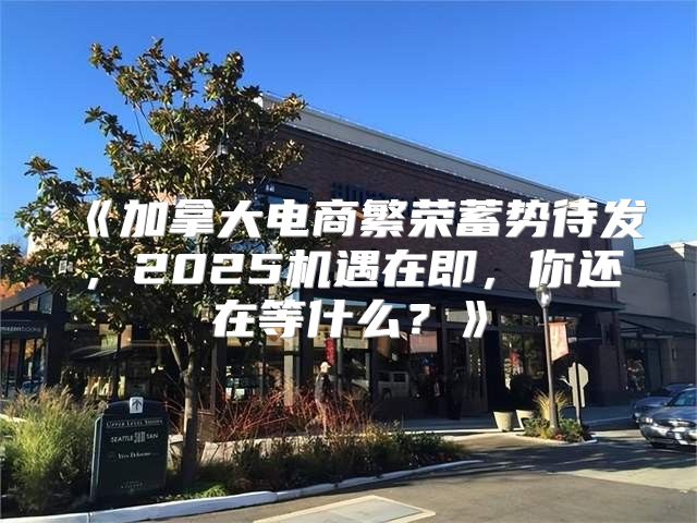 加拿大电商繁荣蓄势待发，2025机遇在即，你还在等什么？