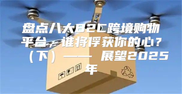 盘点八大B2C跨境购物平台，谁将俘获你的心？下—— 展望2025年