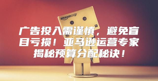广告投入需谨慎，避免盲目亏损！亚马逊运营专家揭秘预算分配秘诀！